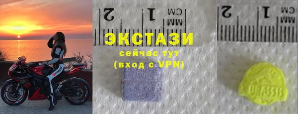 стафф Вяземский