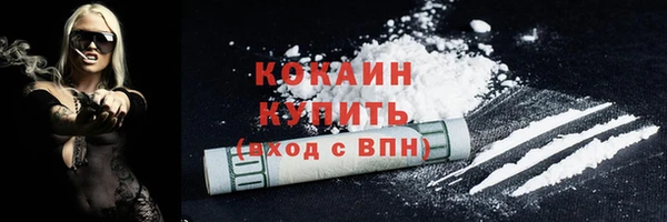 стафф Вяземский