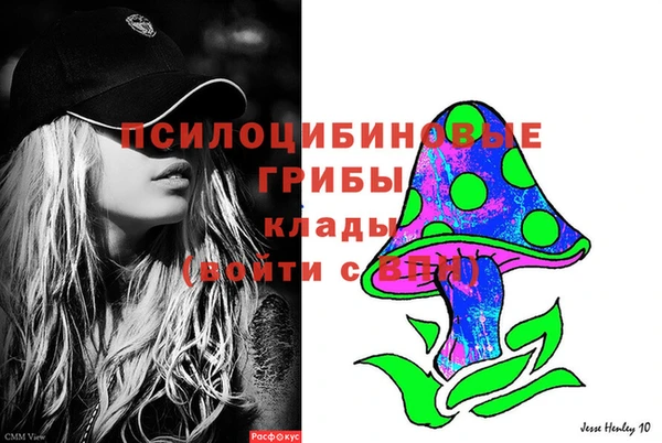 стафф Вяземский