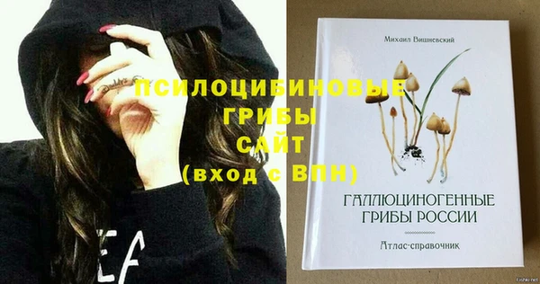стафф Вяземский